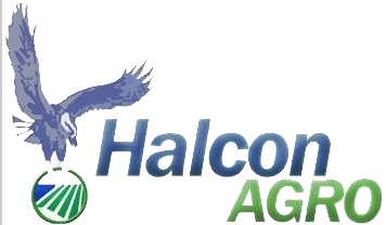 HALCON S.R.L.
